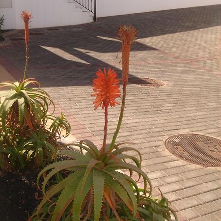 Villas Salinas De Matagorda ภายนอก รูปภาพ